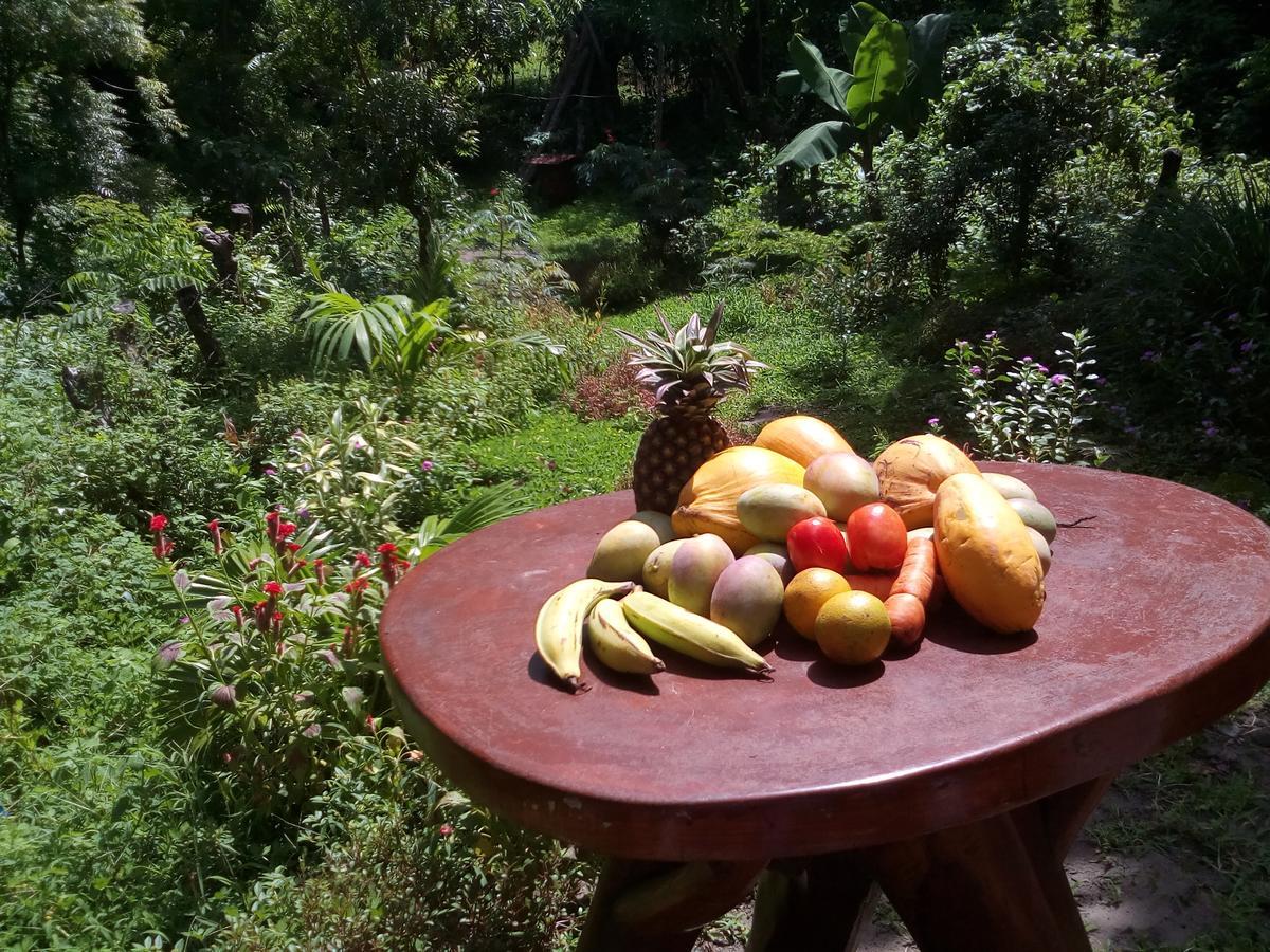 Beach Cabin Ometepe Altagracia Exterior photo